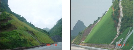 t1.jpg