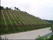 t3.jpg