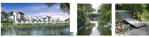 456.jpg