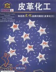 Ƥﻯ