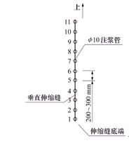 t3.jpg