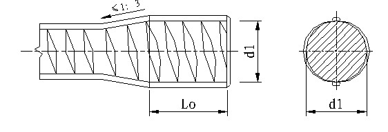 t3.jpg