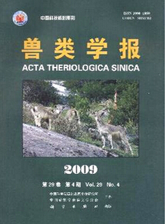 rIQՓ