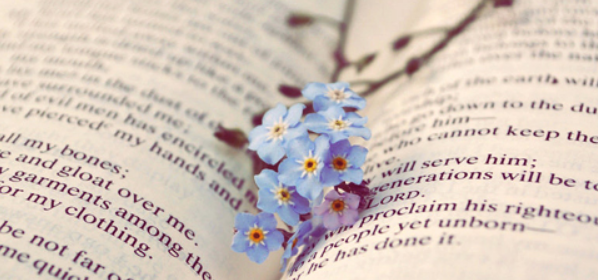 sciՓһ֔(sh)