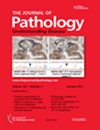 JOURNAL OF PATHOLOGYпԺׅ^