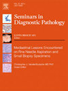 SEMINARS IN DIAGNOSTIC PATHOLOGYпԺׅ^