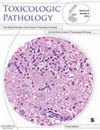 TOXICOLOGIC PATHOLOGYs־пԺׅ^(q)