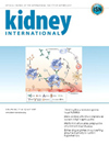 KIDNEY INTERNATIONALпԺׅ^