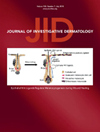JOURNAL OF INVESTIGATIVE DERMATOLOGYпԺׅ^(q)