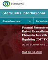 Stem Cells Internationals־пԺׅ^