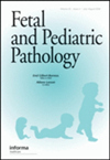 Fetal and Pediatric PathologyڿпԺօ^