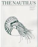 NAUTILUSпԺׅ^