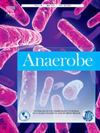 ANAEROBEпԺօ^