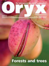 ORYXs־пԺׅ^
