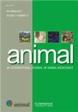 AnimalпԺׅ^