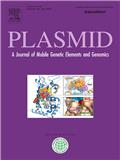 PLASMIDڿпԺօ^