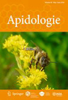APIDOLOGIEпԺׅ^