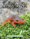 AMPHIBIAN & REPTILE CONSERVATIONڿпԺօ^