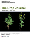 Crop JournalڿпԺօ^