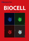 BIOCELLпԺօ^