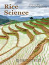 Rice ScienceпԺօ^
