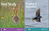 BIRD STUDYпԺօ^