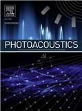 PhotoacousticsڿпԺօ^