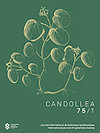 CANDOLLEAڿпԺօ^