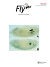 FLYs־пԺׅ^(q)