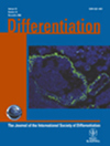 DIFFERENTIATIONڿпԺօ^