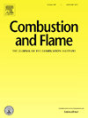 COMBUSTION AND FLAMEпԺׅ^(q)