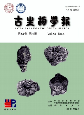W(xu)(bo)